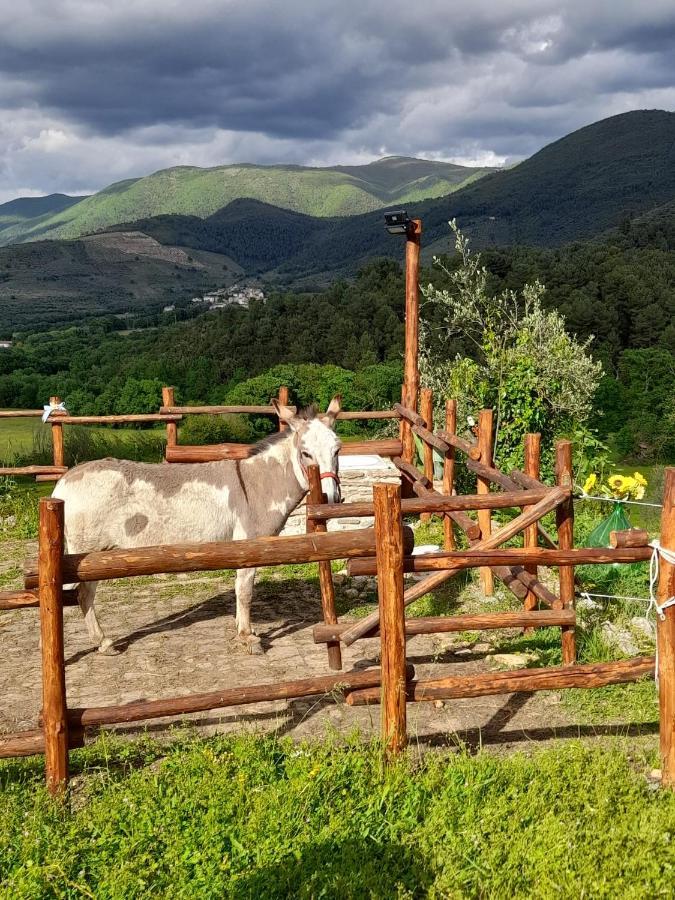 Volver B&B Spoleto Bagian luar foto
