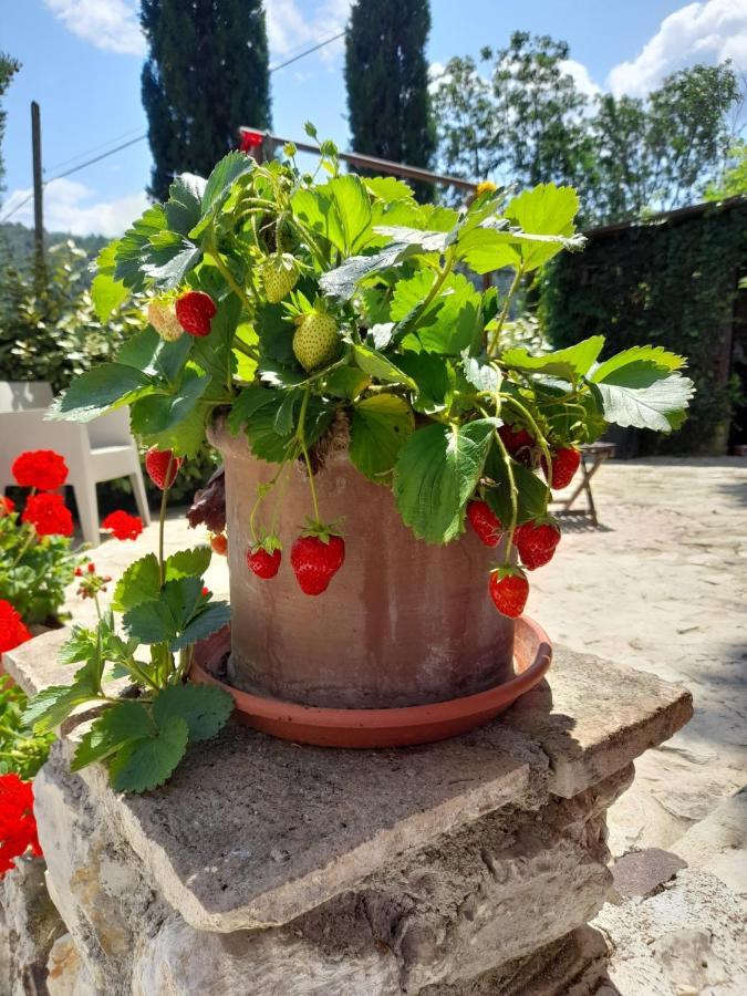 Volver B&B Spoleto Bagian luar foto